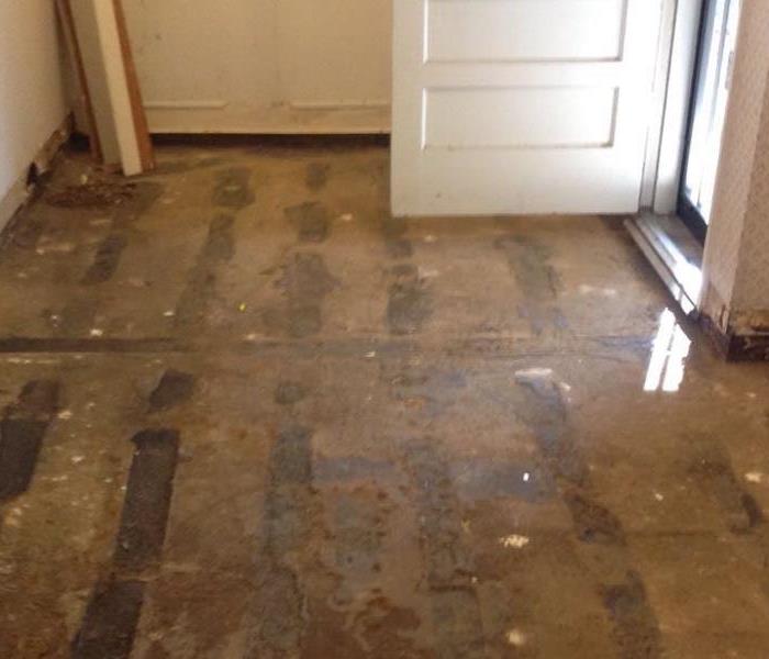 Evidence of water damage in hardwood floor